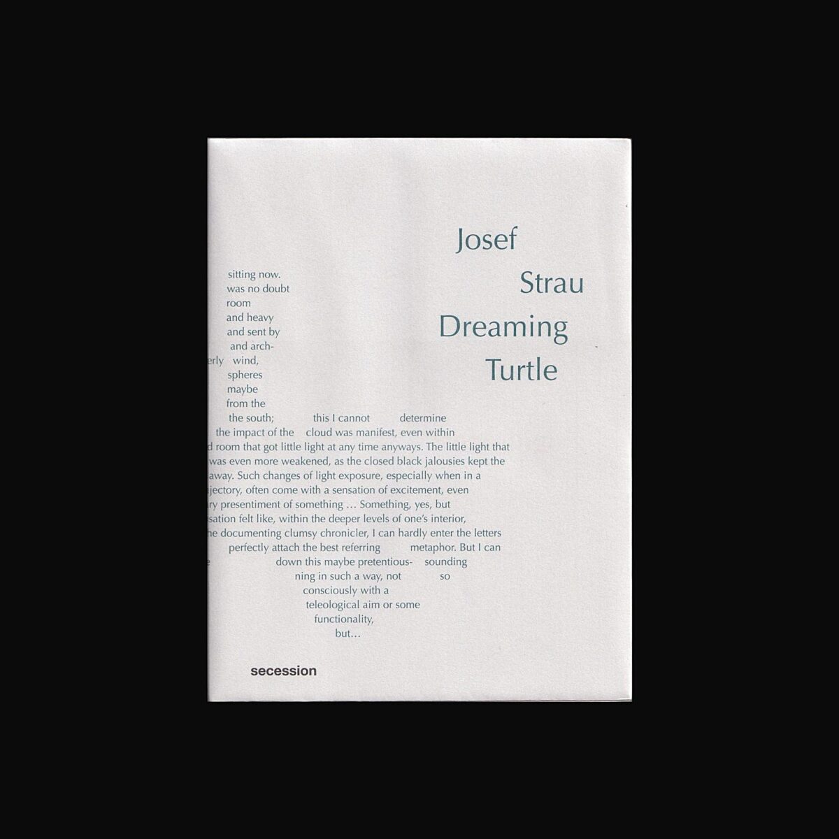Josef Strau Dreaming Turtle 1 1600x1600